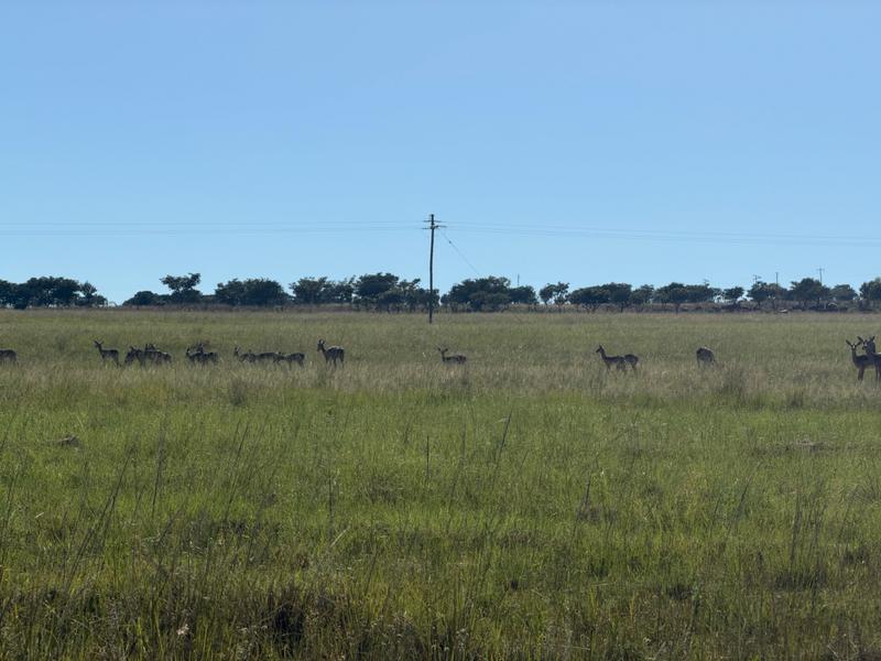 70 Bedroom Property for Sale in Middelburg Eastern Cape